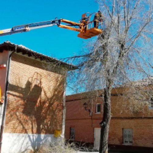 Imagen de grúa de color amarillo realizando trabajos de altura