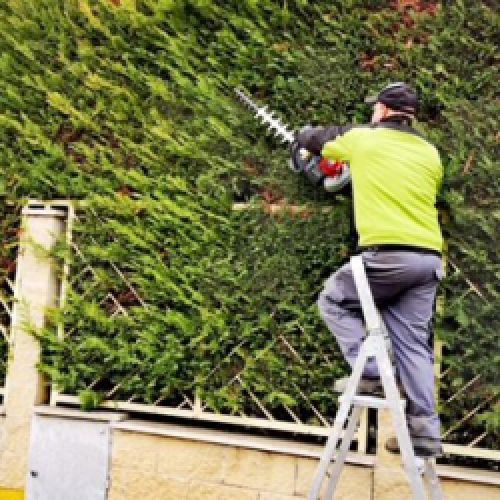 Trabajador con herramienta cortadora de setos