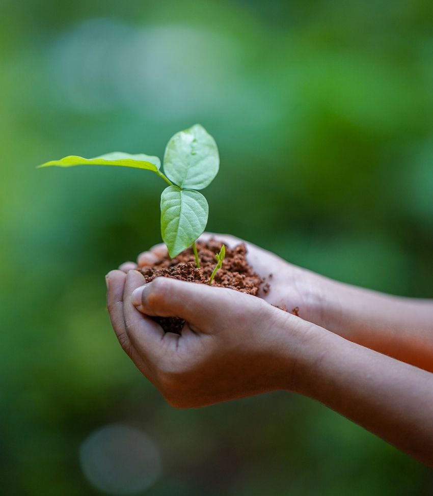 Especialistas en cuidado de plantas