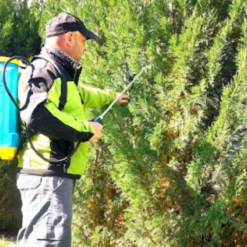 Imagen de trabajador realizando tratamiento Fitosanitarios