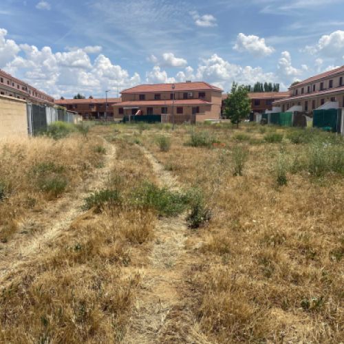 Imagen de limpieza de terreno antes