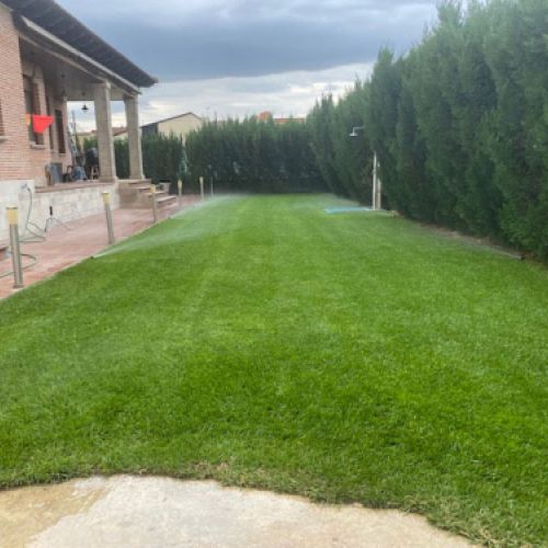 Imagen de terreno de jardín después de escarificado