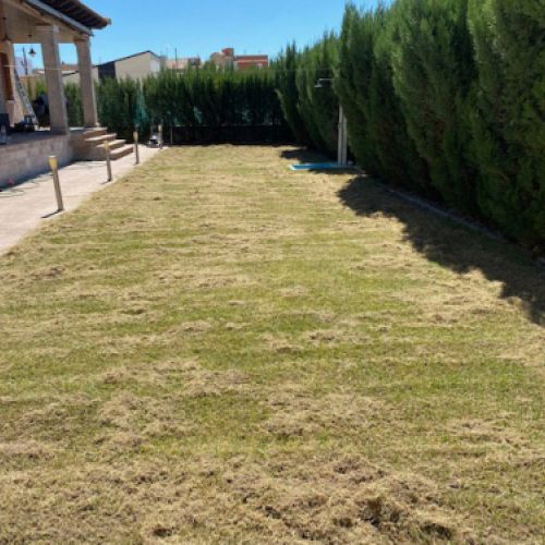 Imagen de terreno de jardín antes de escarificado