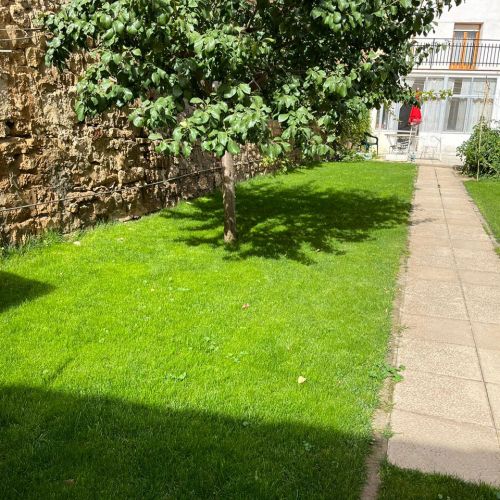 Jardín después de plantar césped