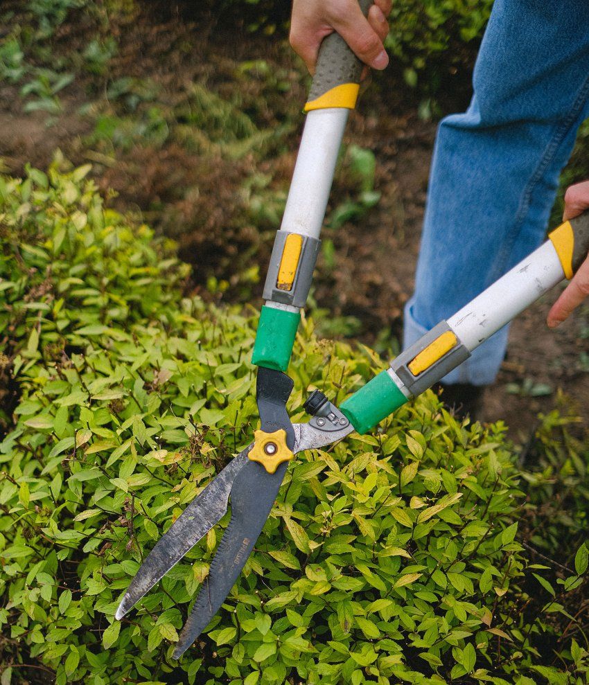 Servicios de jardinería