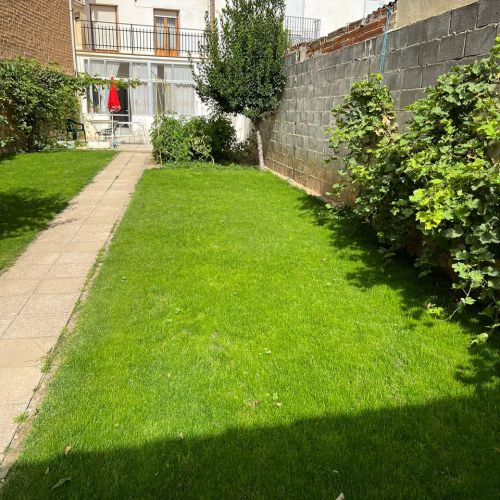 Imagen de jardín después de plantar césped