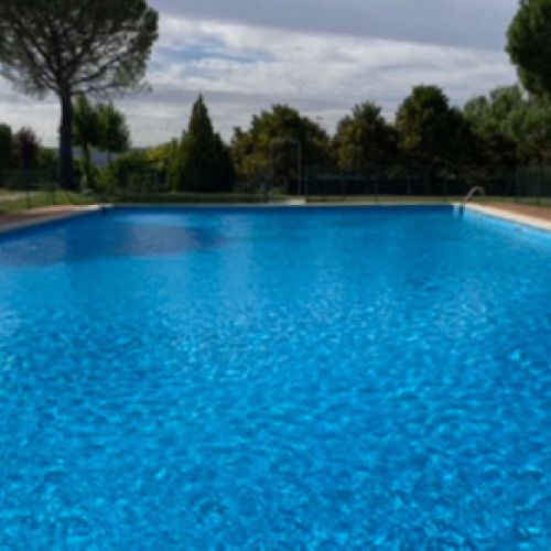 Imagen de piscina en terreno ajardinado