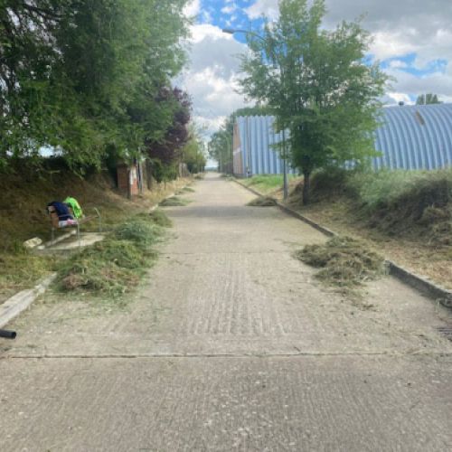 Carretera con lindes con vegetación arrancada a ambos lados